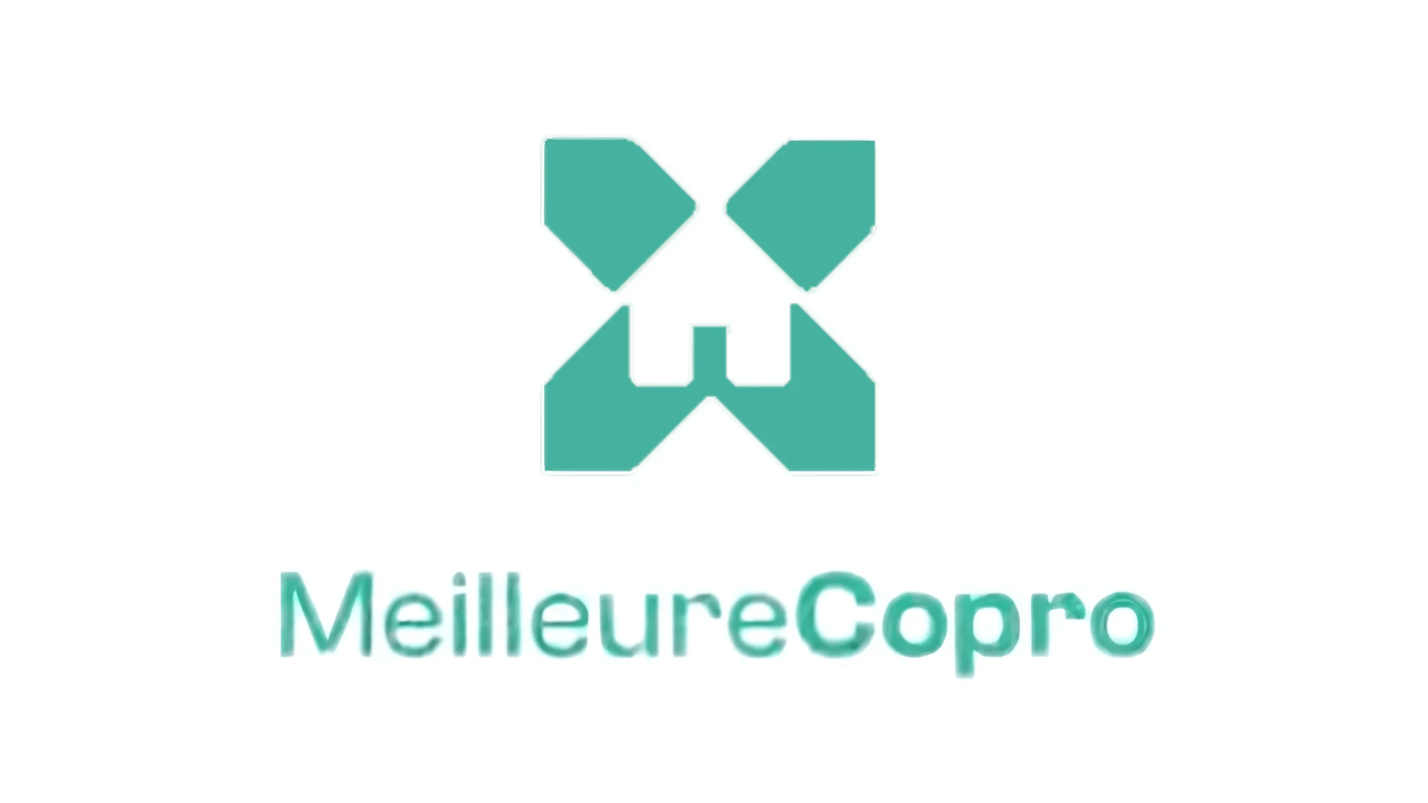 Logo de MEILLEURECOPRO