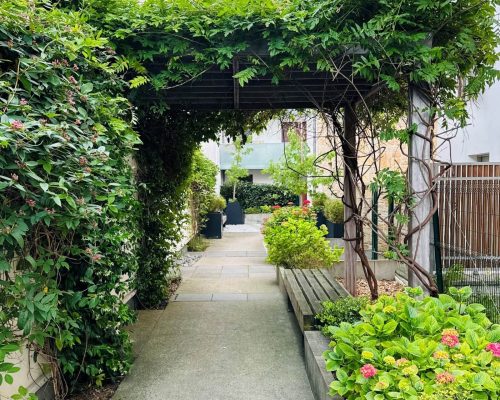 Allée verte d'une copropriété d'habitation
