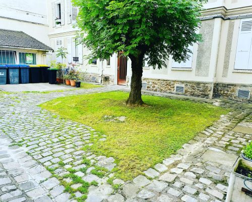 Cour intérieur avec un arbre dans une copropriété d'habitation