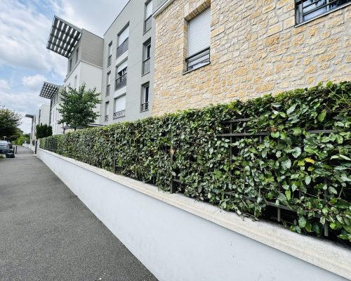 Une haie sur devanture d'un immeuble de copropriété