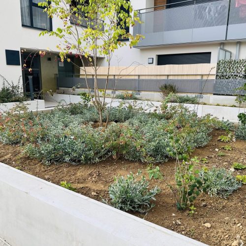 Espaces verts d'une copropriété d'habitation